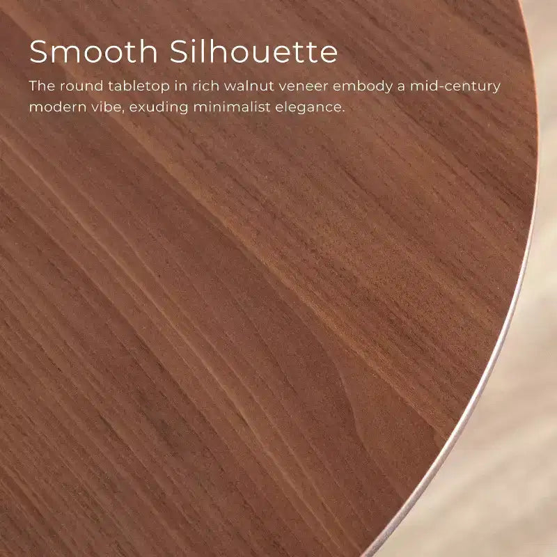 HOMES: Inside + Out River Run 19.5" Round Mid-Century Modern Accent Side Table Walnut